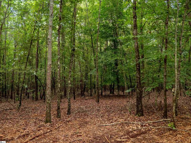 00 Terry Road Lot 6, Fountain Inn, SC 29644