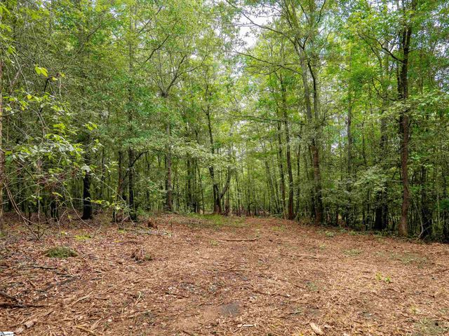 00 Terry Road Lot 6, Fountain Inn, SC 29644