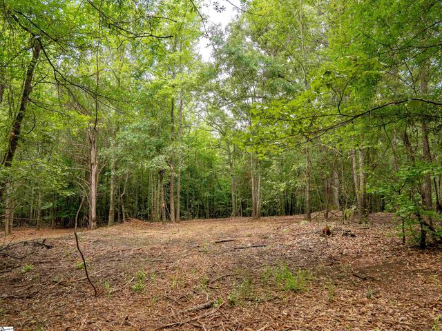 00 Terry Road Lot 6, Fountain Inn, SC 29644