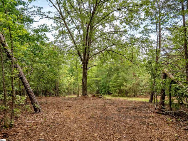 00 Terry Road Lot 6, Fountain Inn, SC 29644