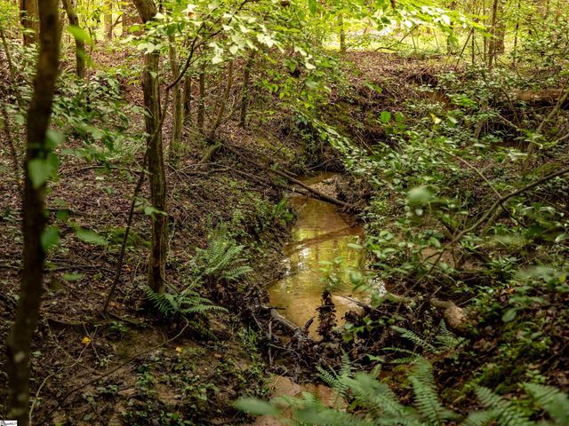 00 Terry Road Lot 6, Fountain Inn, SC 29644