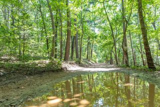 Tbd 40 Ravenwood Way, Ridgedale, MO 65739