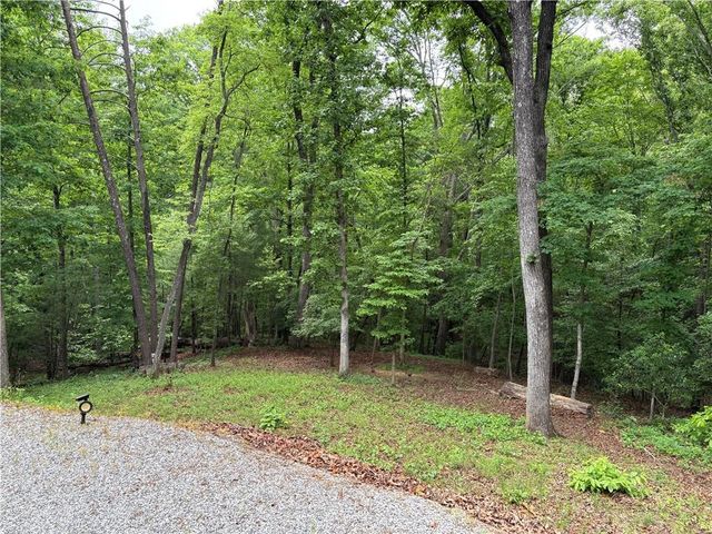 312 Aurum Hill Drive, Cleveland, GA 30528