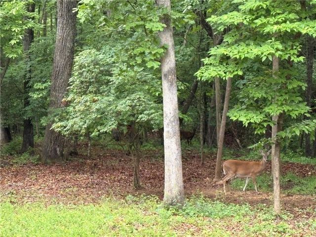 312 Aurum Hill Drive, Cleveland, GA 30528