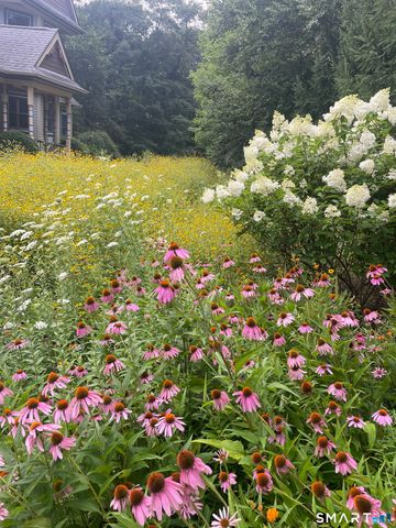 205 East Rocks Road, Norwalk, CT 06851