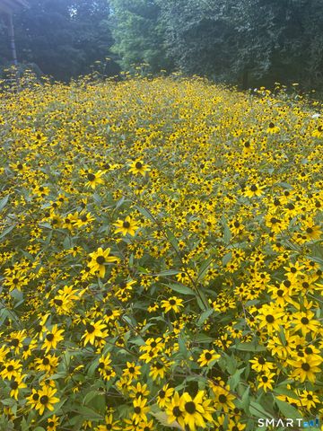 205 East Rocks Road, Norwalk, CT 06851