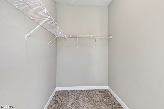 3601 Bailey Avenue, Cleveland, OH 44113