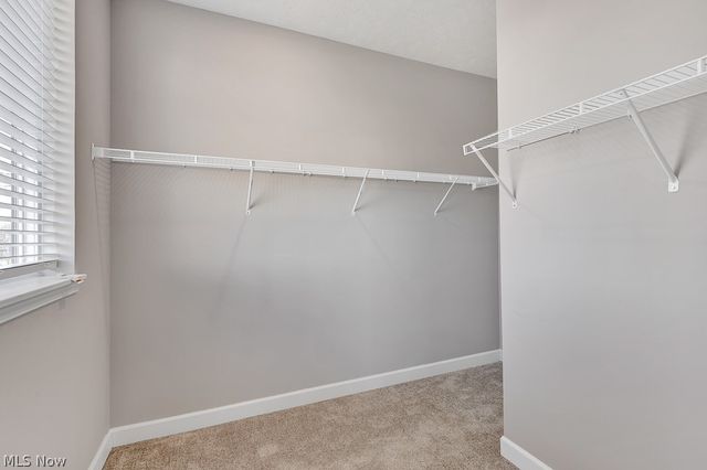 3601 Bailey Avenue, Cleveland, OH 44113