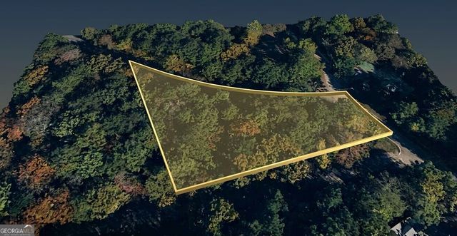 0 Mango Lane LOT 704, Ellijay, GA 30540