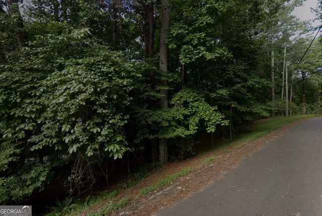 0 Mango Lane LOT 704, Ellijay, GA 30540