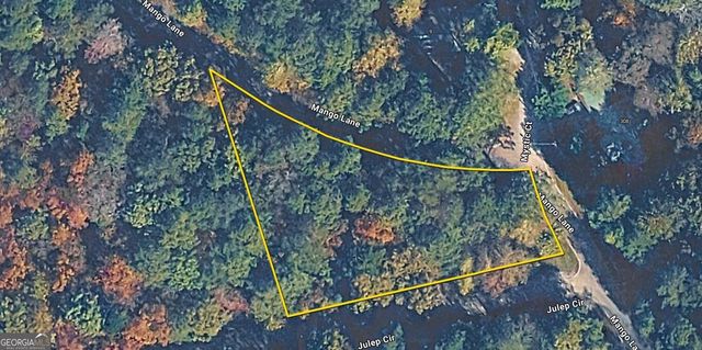 0 Mango Lane LOT 704, Ellijay, GA 30540