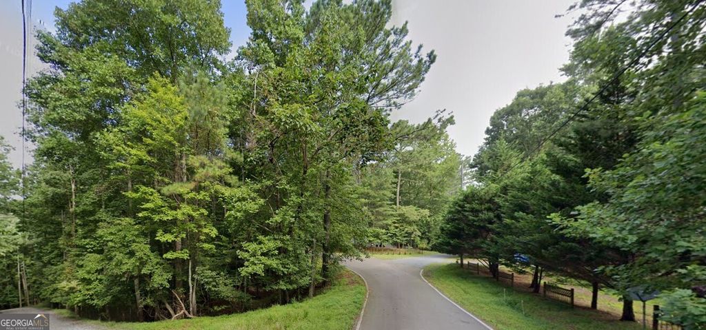 0 Mango Lane LOT 704, Ellijay, GA 30540