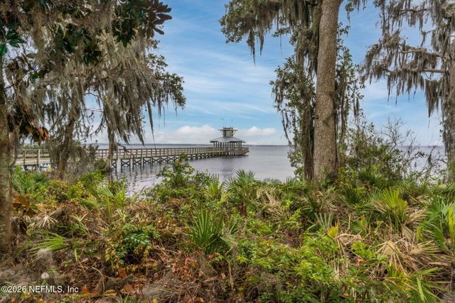 163 WILD SAGE Drive, Jacksonville, FL 32259
