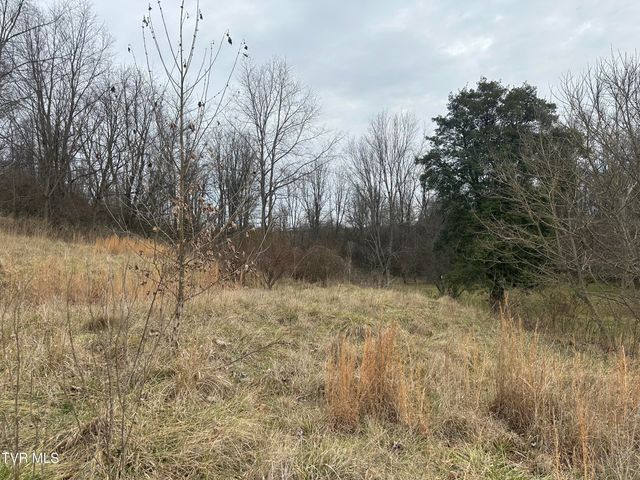 21509 Clear Creek Road, Bristol, VA 24202