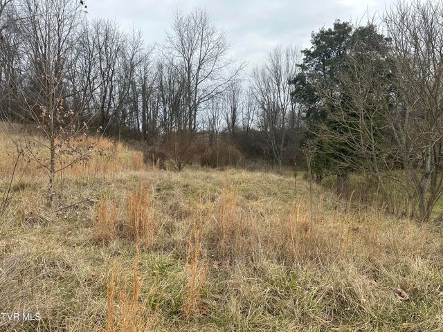 21509 Clear Creek Road, Bristol, VA 24202