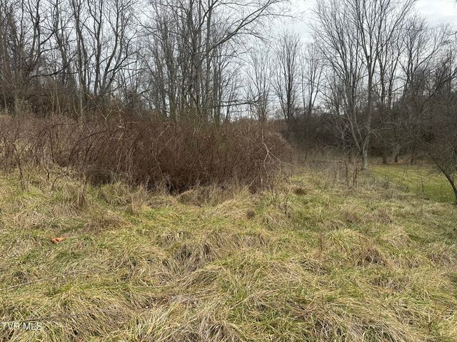 21509 Clear Creek Road, Bristol, VA 24202