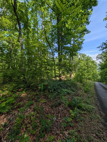 Tr 2 Flacon, Hayesville, NC 28904