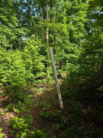 Tr 2 Flacon, Hayesville, NC 28904