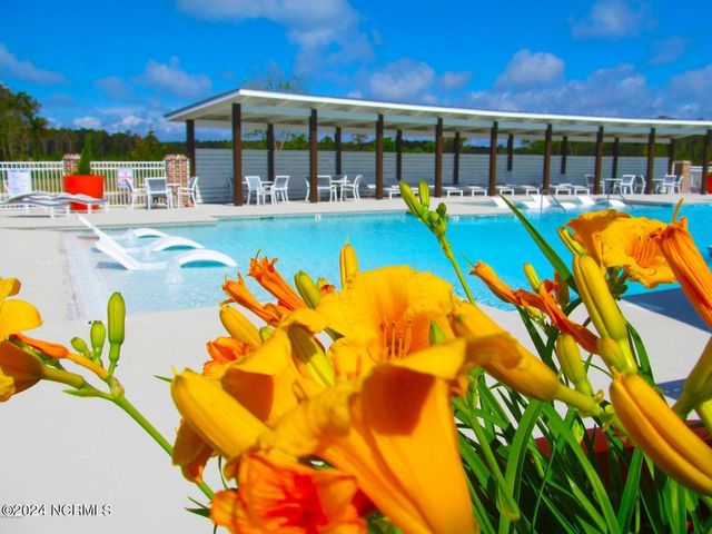 220 Gray Duck Drive, Beaufort, NC 28516