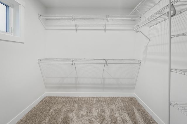 1628 Red Clover Street, Holmen, WI 54636