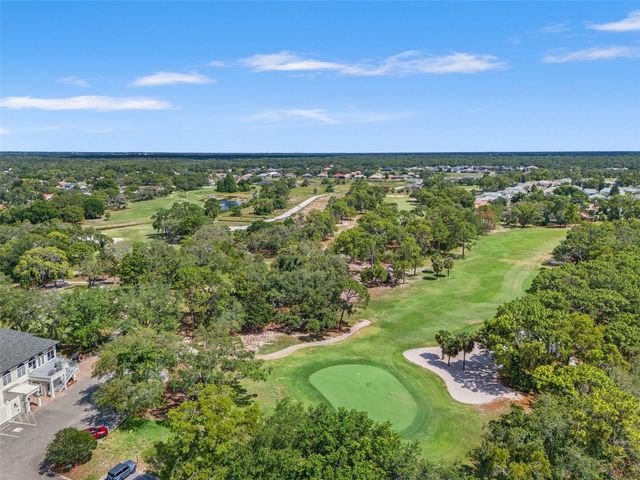 8420 MAYBELLE DRIVE, Weeki Wachee, FL 34613