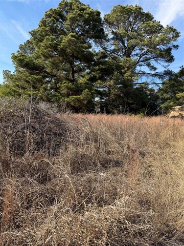 Lot 20 Indian Oak DR, Bastrop, TX 78602