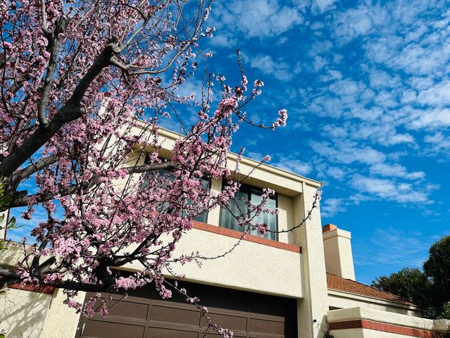 12 Riviera Circle, Redwood City, CA 94065