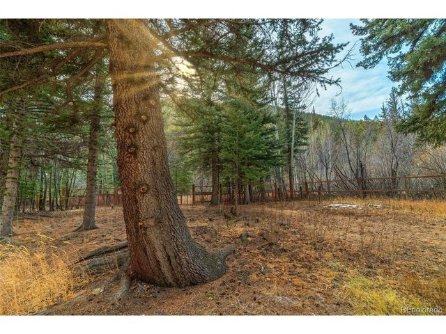 49756 Highway 285, Grant, CO 80448