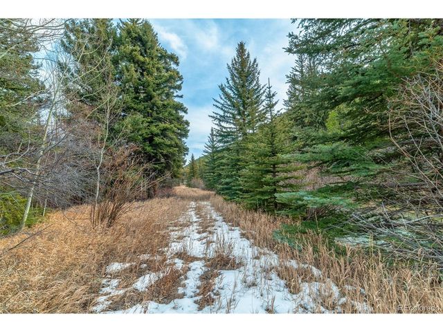 49756 Highway 285, Grant, CO 80448