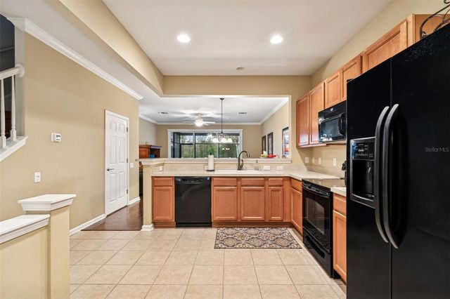 10238 ESTERO BAY LANE, Tampa, FL 33625