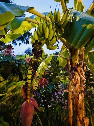 1234 W IVANHOE BOULEVARD, Orlando, FL 32804