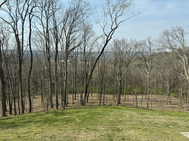 1119 Harpeth Ridge Rd, Franklin, TN 37069