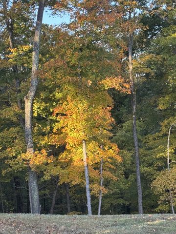 1119 Harpeth Ridge Rd, Franklin, TN 37069