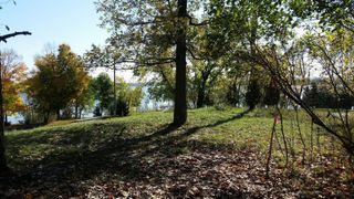 893 White Clover Beach Road, Detroit Lakes, MN 56501