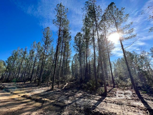 0 County Road 64, Robertsdale, AL 36507