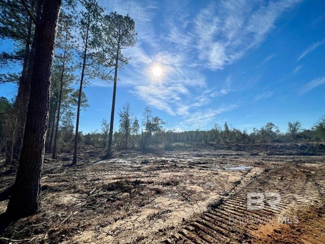 0 County Road 64, Robertsdale, AL 36507