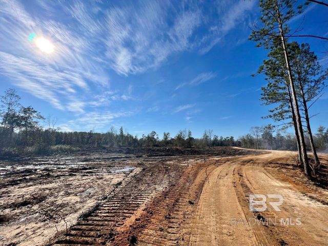 0 County Road 64, Robertsdale, AL 36507