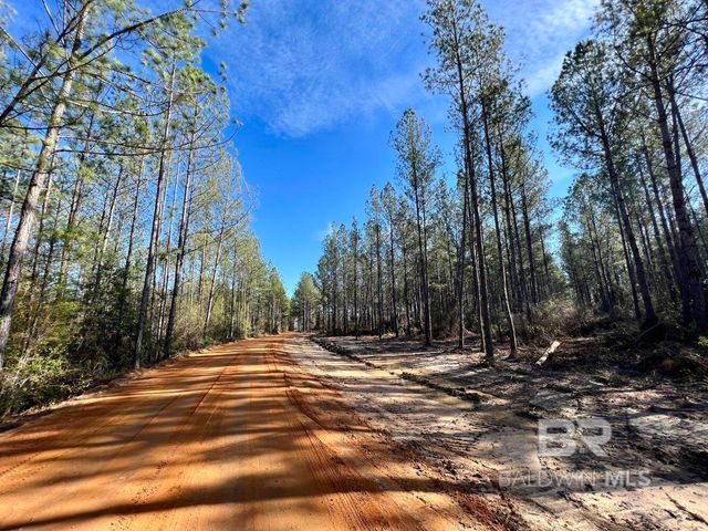 0 County Road 64, Robertsdale, AL 36507