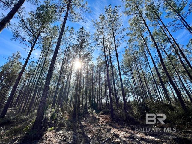 0 County Road 64, Robertsdale, AL 36507