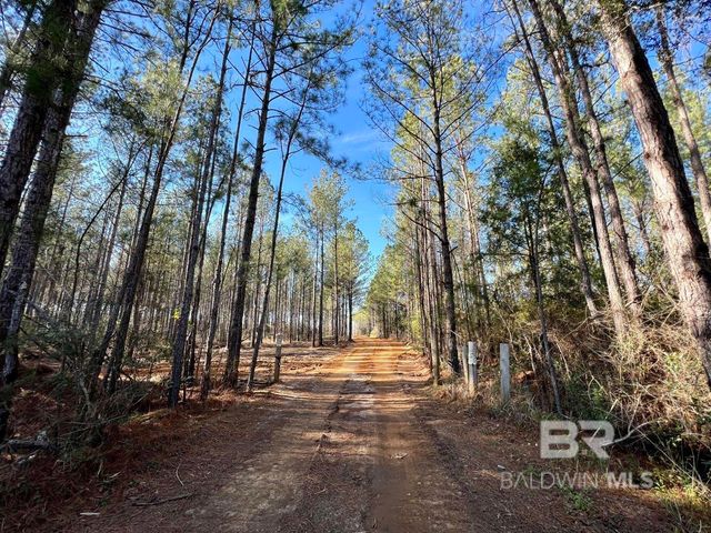 0 County Road 64, Robertsdale, AL 36507