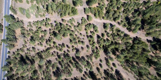 29XXX N Hardesty Rd, Chattaroy, WA 99003