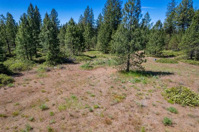 29XXX N Hardesty Rd, Chattaroy, WA 99003