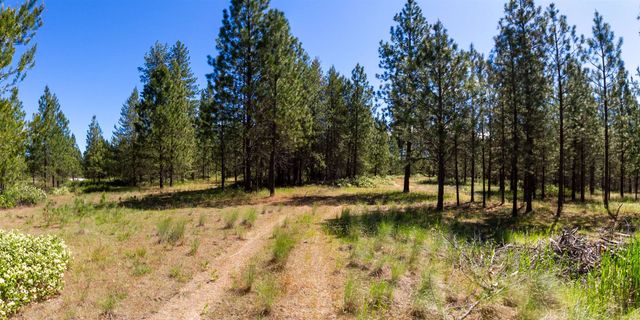 29XXX N Hardesty Rd, Chattaroy, WA 99003