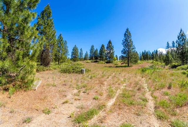 29XXX N Hardesty Rd, Chattaroy, WA 99003