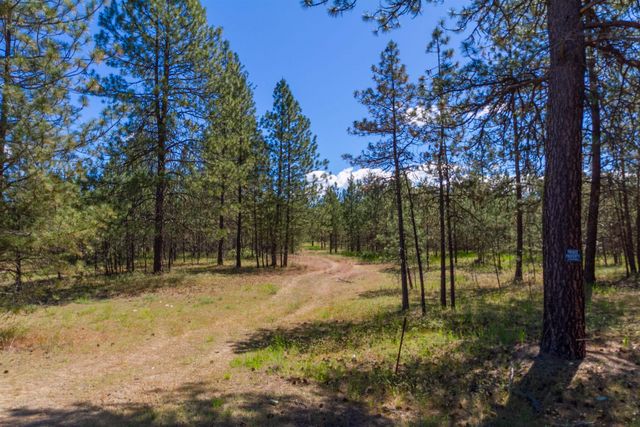29XXX N Hardesty Rd, Chattaroy, WA 99003