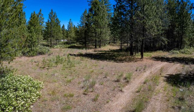 29XXX N Hardesty Rd, Chattaroy, WA 99003