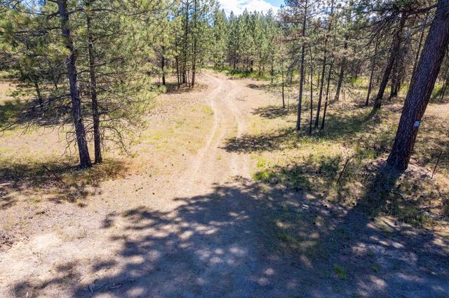 29XXX N Hardesty Rd, Chattaroy, WA 99003