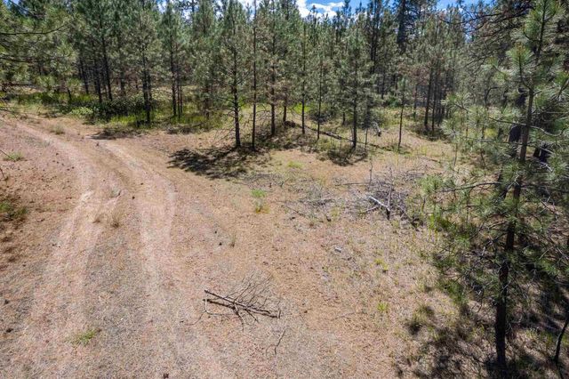 29XXX N Hardesty Rd, Chattaroy, WA 99003