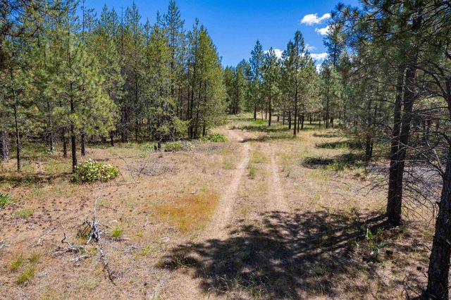 29XXX N Hardesty Rd, Chattaroy, WA 99003