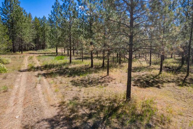 29XXX N Hardesty Rd, Chattaroy, WA 99003